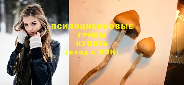 a pvp Карпинск