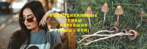 ПСИЛОЦИБИНОВЫЕ ГРИБЫ Саяногорск