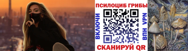 Купить где  Дюртюли  Псилоцибиновые грибы Cubensis 